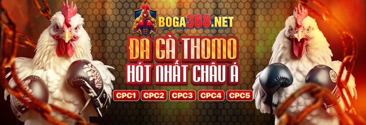 Tài Xỉu K8CC - Trò chơi xúc xắc may mắn